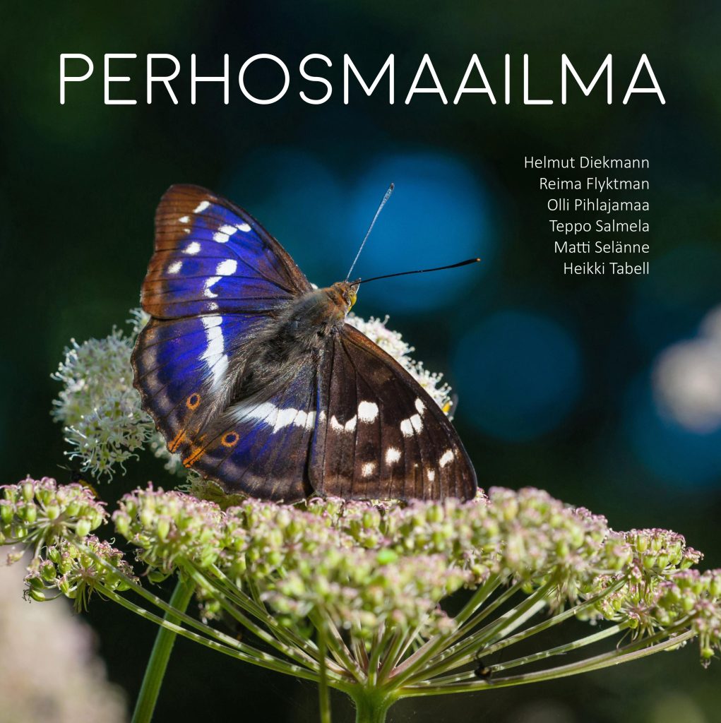 Perhosmaailma Readme fi perhosmaailma-readme-fi
