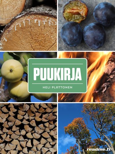 9789523737549 - Kansikuva