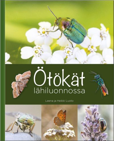 9789523731899 - Kansikuva